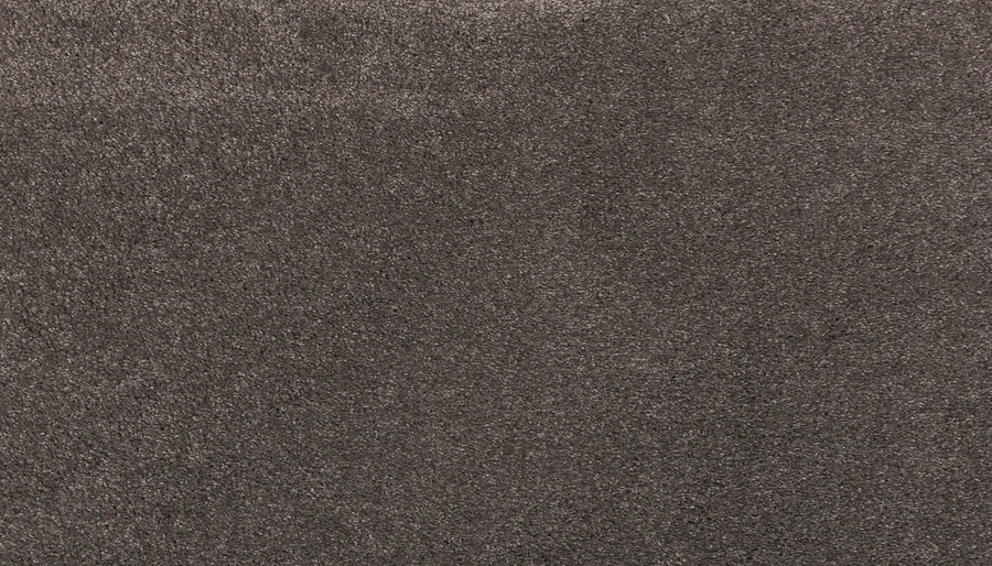 A close-up of Noble Tone Pet Friendly Carpet in Harmony, featuring a stain-resistant, dark gray surface with soft, tightly woven fibers and a uniform color.