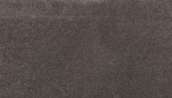 A close-up of Noble Tone Pet Friendly Carpet in Harmony, featuring a stain-resistant, dark gray surface with soft, tightly woven fibers and a uniform color.