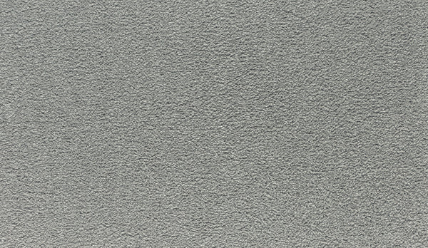 Close-up of Noble Tone Pet Friendly Carpet in Destiny—its light gray, tightly woven fibers and subtle shading create a soft, stain-resistant surface perfect for busy homes.