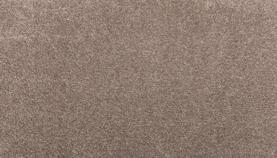 Close-up of Noble Tone Pet Friendly Carpet in Moonrock—stain-resistant, featuring a soft, textured surface and dense, uniform fibers for durability and easy maintenance.