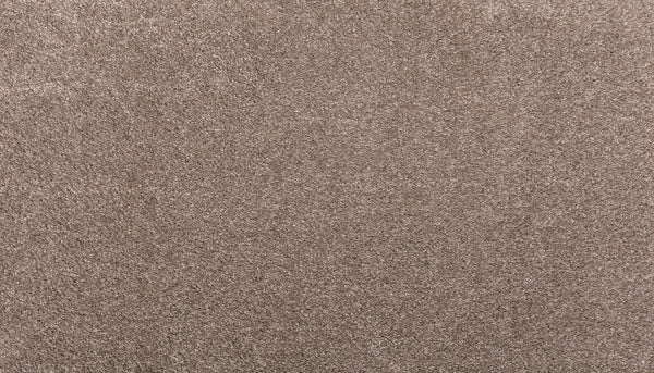 Close-up of Noble Tone Pet Friendly Carpet in Moonrock—stain-resistant, featuring a soft, textured surface and dense, uniform fibers for durability and easy maintenance.