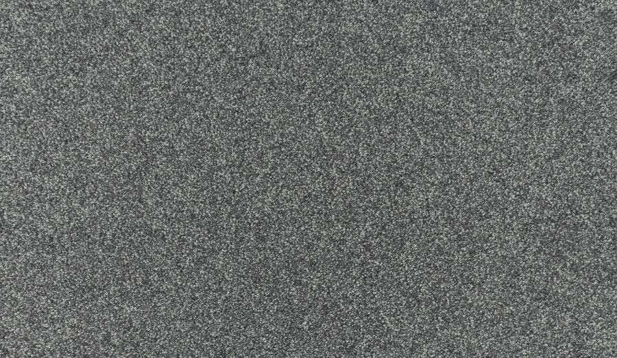 A close-up of Noble Tone Pet Friendly Carpet in Pavement shows its textured dark gray surface with small, evenly distributed particles for a grainy, durable look.