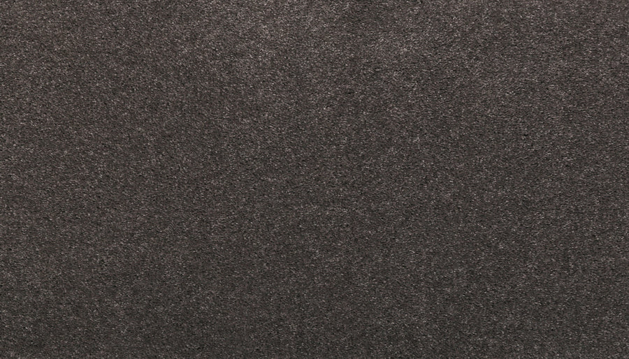 Close-up view of Noble Tone Pet Friendly Carpet in Nocturne, featuring a textured, dark gray surface with fine fibers and a soft, slightly mottled appearance.