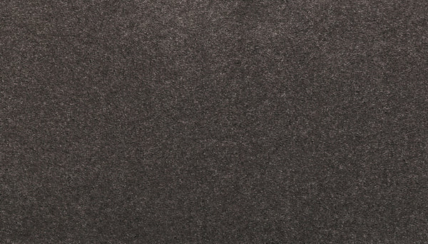 Close-up view of Noble Tone Pet Friendly Carpet in Nocturne, featuring a textured, dark gray surface with fine fibers and a soft, slightly mottled appearance.