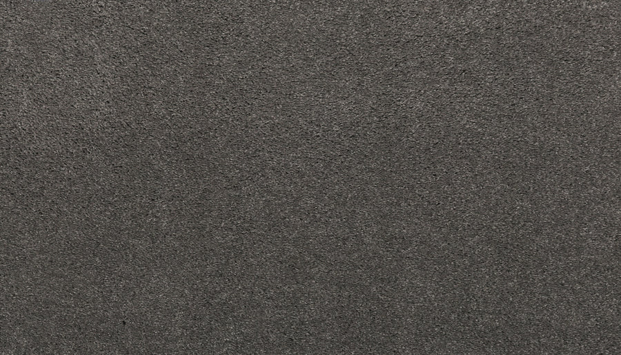 A close-up of Noble Tone Pet Friendly Carpet in Rough Stone color, showing its textured, dark gray surface with a slightly rough, even appearance reminiscent of durable carpet material.