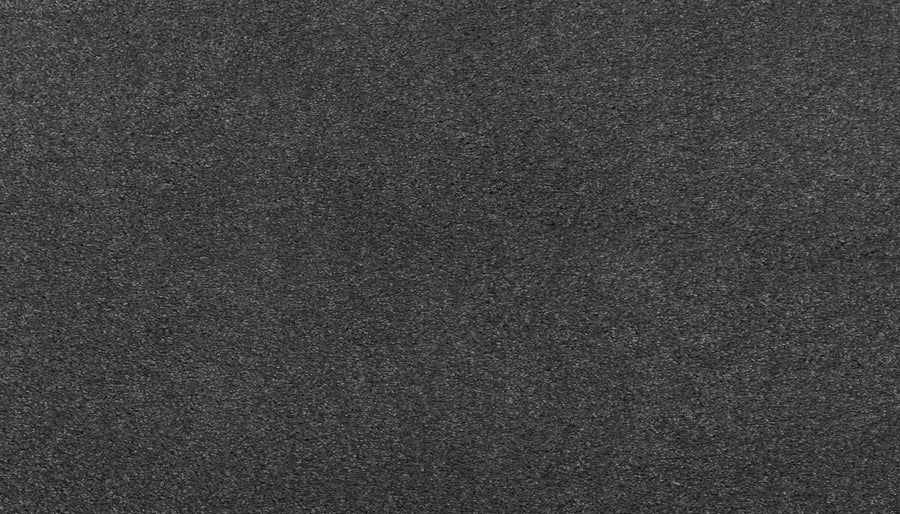 Close-up of the Noble Tone Pet Friendly Carpet in Shadow, highlighting its dark grey, soft, dense surface with a slightly speckled look and stain-resistant texture.