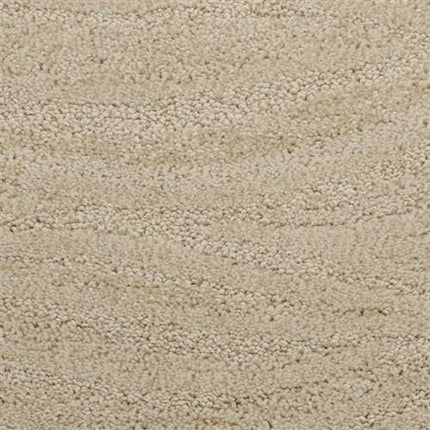 Close-up of Taittinger On Trend Carpet in North Hampton—a beige, textured luxury carpet with a soft looped pile, subtle shade variations, and surface depth—ideal for high-traffic areas.