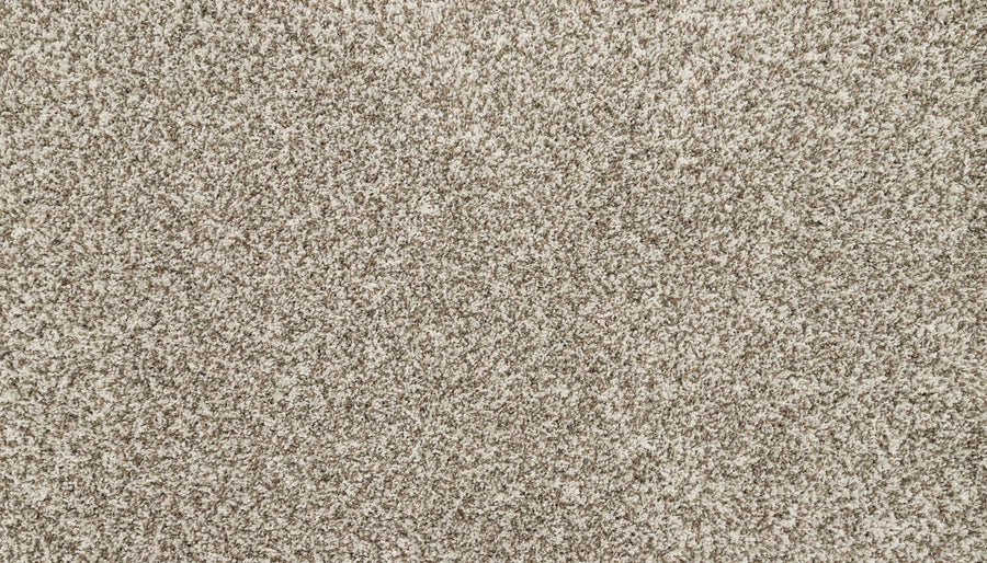 Close-up of Furocious I Pet Friendly Carpet in beige, featuring a mix of light and dark fibers for a soft, speckled look—ideal for those seeking plush texture and stylish comfort.