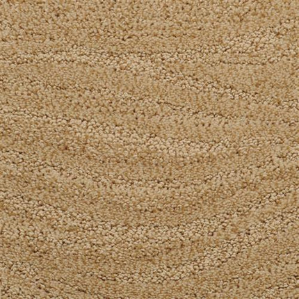 The Taittinger On Trend Carpet in Nugget features a looped pile and subtle wave texture, making it a durable choice for high-traffic areas.