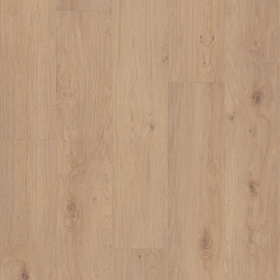 Fresh Take 9" Vinyl features a light brown wood look with visible grain patterns and knots in a staggered plank layout. Its smooth, matte finish delivers a natural, warm appearance ideal for interior spaces.
