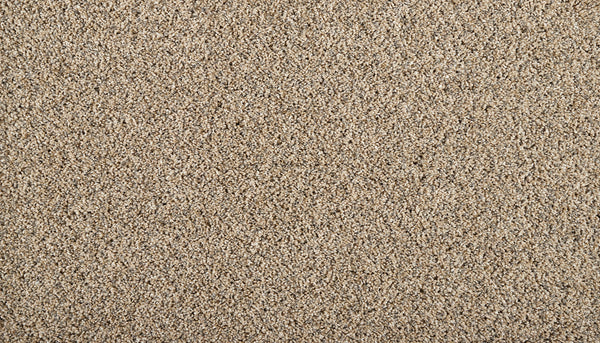 Close-up of Flourishing Tones Family Friendly Carpet in beige, featuring a textured looped pile. Dense fibers offer a soft, uniform look and easy maintenance—perfect for busy households.