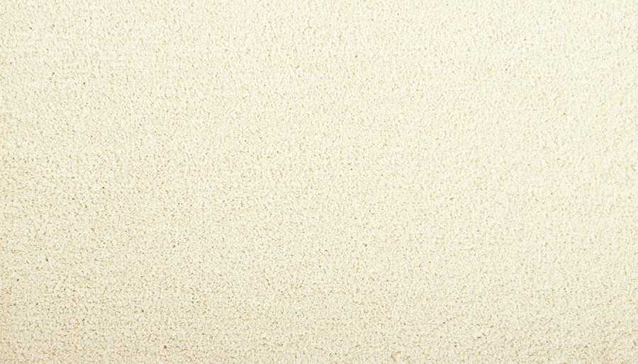 Meridian Family Friendly Carpet