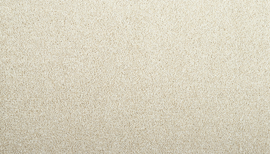 Close-up of Meridian Family Friendly Carpet in soft light beige, featuring a uniform, textured surface that adds comfort and style to any home.