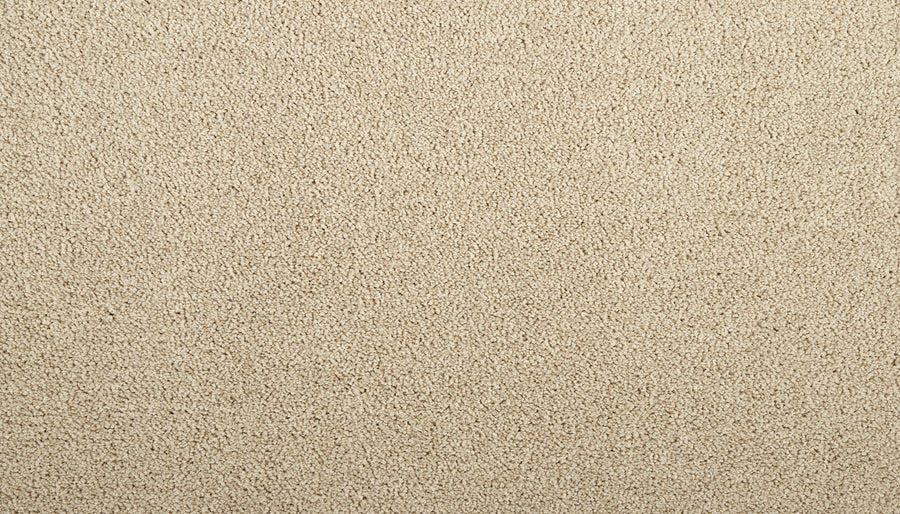 Close-up of Meridian Family Friendly Carpet in beige, featuring a soft, textured surface with small, tightly woven loops for a uniform, premium look and a subtle neutral background.