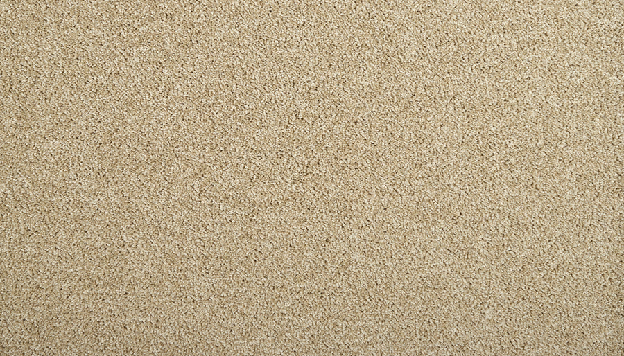 Close-up of the Meridian Family Friendly Carpet, highlighting its soft texture and tightly woven fibers for a premium, family-friendly flooring option.