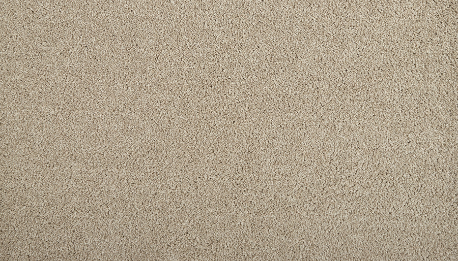 Close-up of Meridian Family Friendly Carpet in beige, showcasing its soft, textured surface with short, dense fibers for a clean and luxurious look.