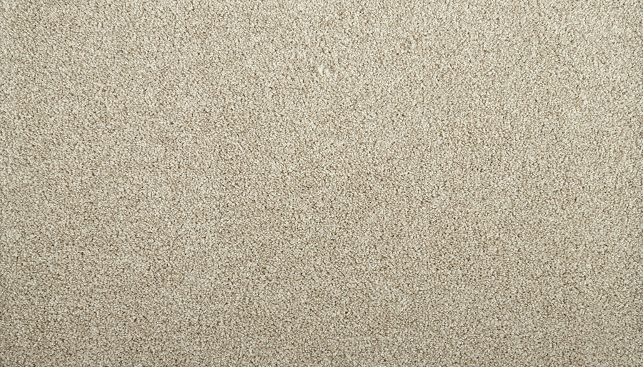 Close-up view of Meridian Family Friendly Carpet in beige, featuring a soft, dense texture and a uniform, plush surface.