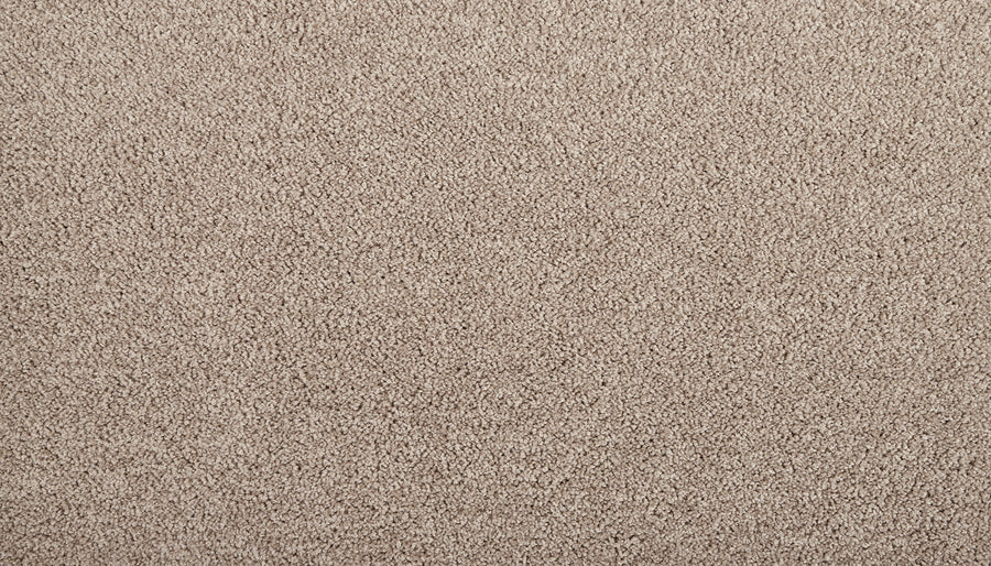 Close-up of Meridian Family Friendly Carpet in beige, showcasing its soft, dense surface and uniform textured fibers for a plush, comfortable feel—ideal for any living space.