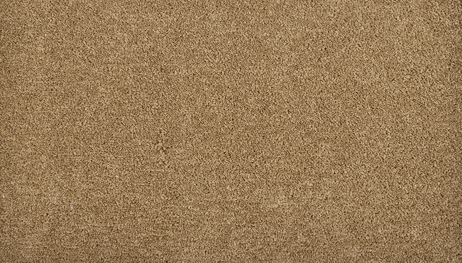 A close-up of Meridian Family Friendly Carpet showcases its soft texture, making it a premium choice for your home.
