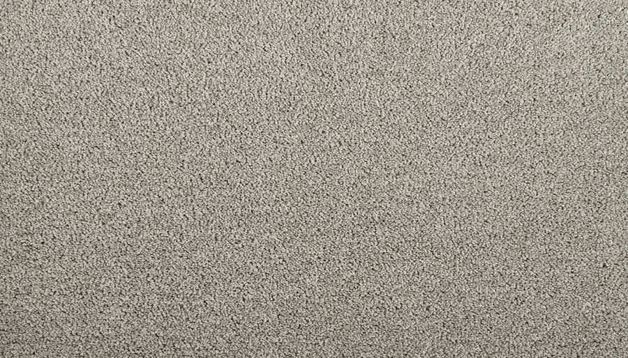 Close-up of Meridian Family Friendly Carpet in light gray, showcasing a soft, textured surface with dense fibers. This carpet delivers uniform color and a subtle speckled look, making it ideal for any modern living space.