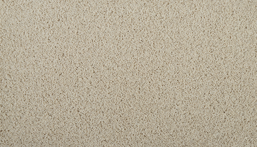 Iconic Look I Family Friendly Carpet