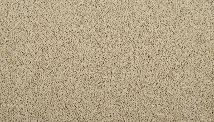 Iconic Look I Family Friendly Carpet