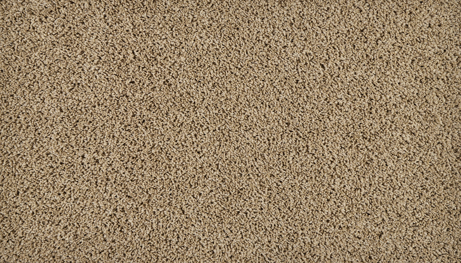 Iconic Look I Family Friendly Carpet