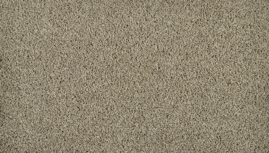 Iconic Look I Family Friendly Carpet