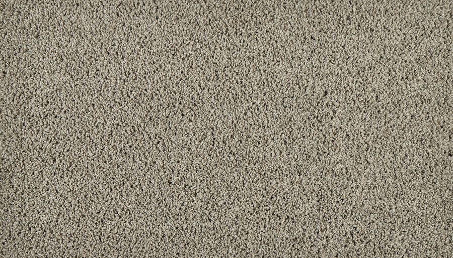 Iconic Look I Family Friendly Carpet