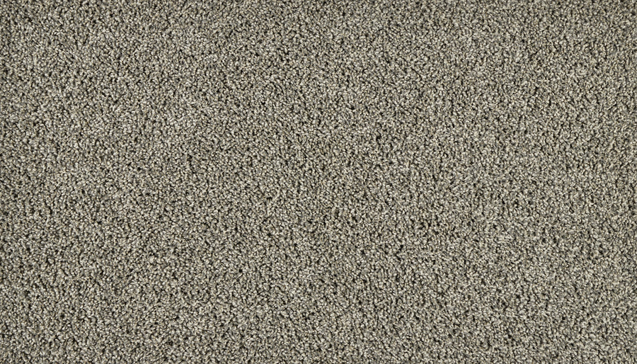 Iconic Look I Family Friendly Carpet