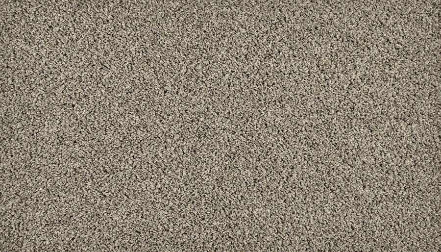 Iconic Look I Family Friendly Carpet