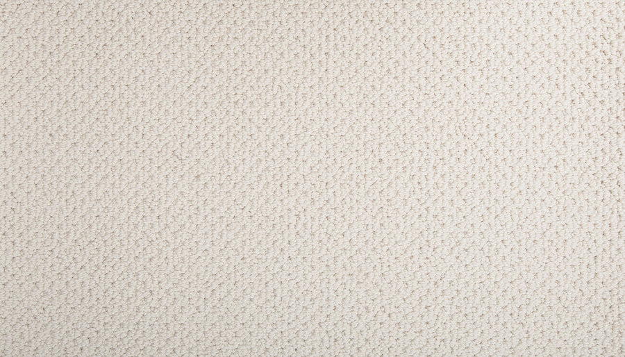 Close-up of the Flourishing Loops Family Friendly Carpet in light beige, featuring a soft, refined texture with even, clean, and uniform loops that showcase its elegant and welcoming design.