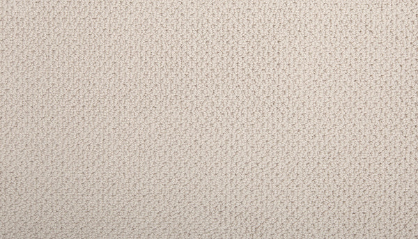 Close-up view of the Flourishing Loops Family Friendly Carpet, highlighting its soft looped fibers, uniform pattern, and elegant textured beige design.