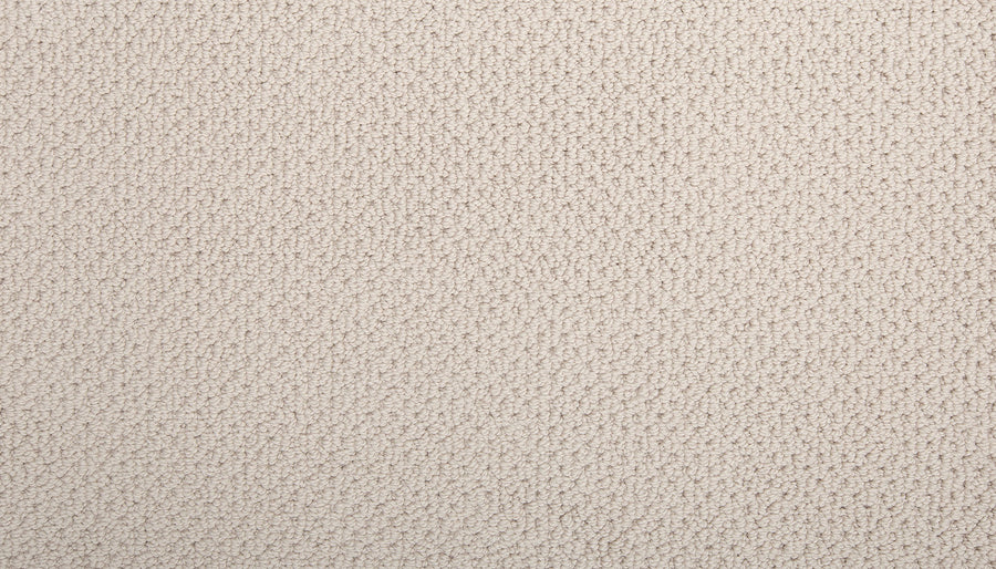 Close-up view of the Flourishing Loops Family Friendly Carpet, highlighting its soft looped fibers, uniform pattern, and elegant textured beige design.