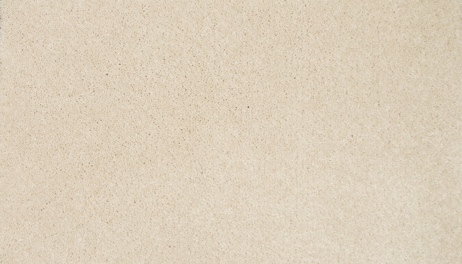 A close-up of a smooth, light beige surface with a subtly textured and slightly speckled look, reflecting the refined style of Lifetime Achiever II Pet Friendly Carpet.