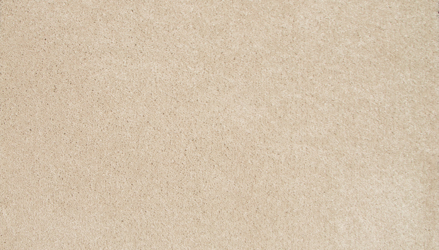 Close-up of Lifetime Achiever II Pet Friendly Carpet, a soft, light beige carpet with plush texture and subtle shading—ideal comfort for pet-friendly homes.