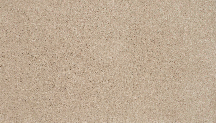 Close-up of a beige Lifetime Achiever II Pet Friendly Carpet, showcasing its soft, textured surface and even pile. The neutral color adds warmth and comfort, making it an ideal choice for timeless style and pet-friendly living spaces.