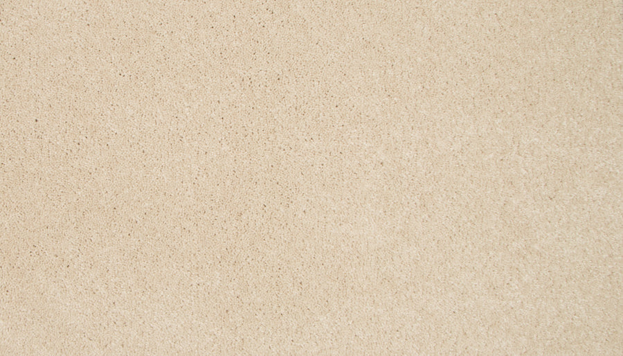A close-up of smooth, light beige sand with fine, even texture and small grains—echoing the refined look of Lifetime Achiever II Pet Friendly Carpet.