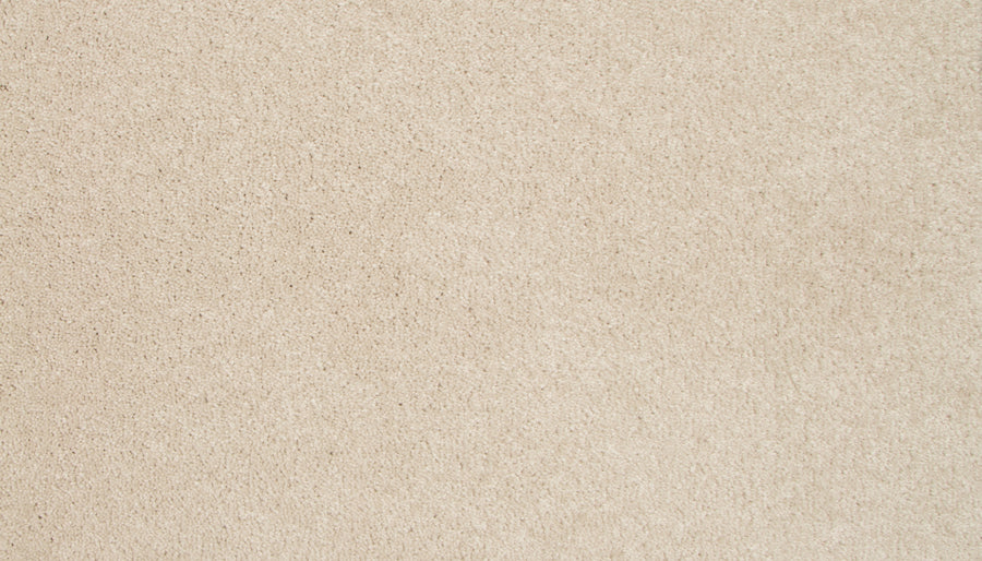 Close-up of Lifetime Achiever II Pet Friendly Carpet in beige, highlighting its soft, plush fibers and even, slightly textured surface—ideal for luxury household interiors.