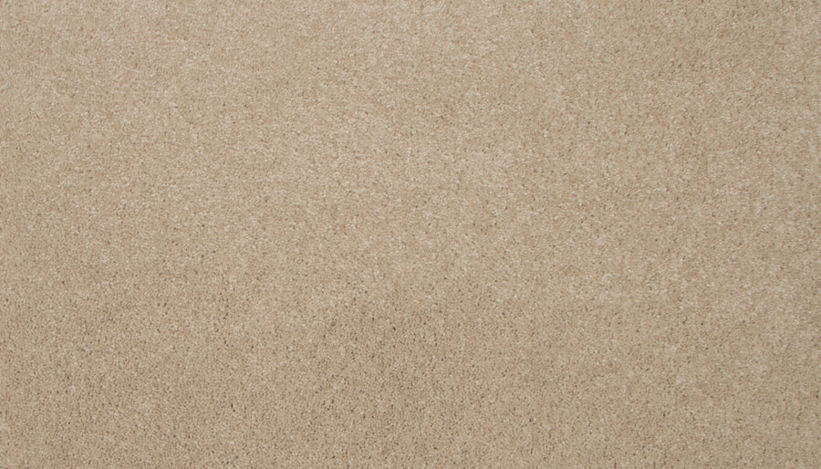 Close-up of Lifetime Achiever II Pet Friendly Carpet, featuring a soft, textured surface in uniform beige with subtle shading variations and durable, pet friendly fibers.