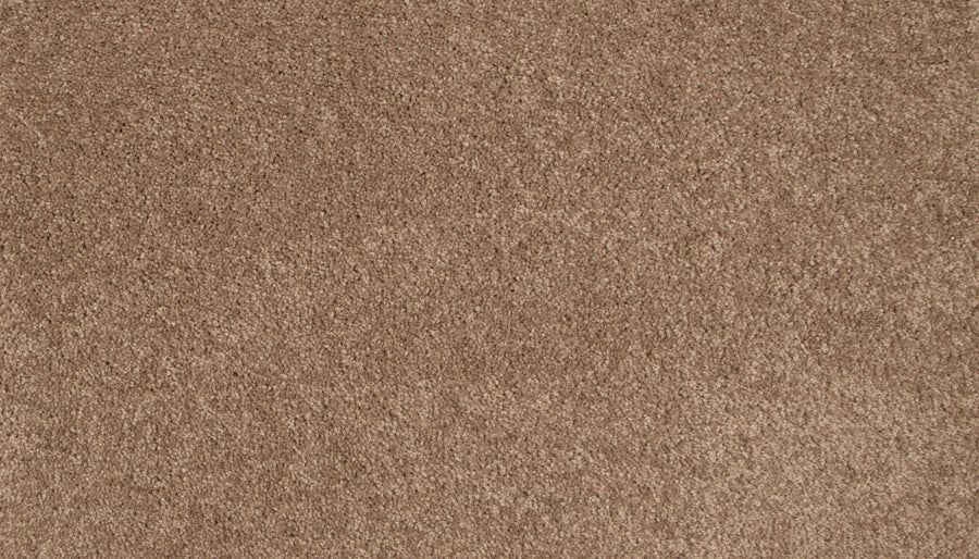 Close-up view of a light brown Lifetime Achiever II Pet Friendly Carpet with a soft, textured pile. Its clean, uniform surface highlights detailed fibers and subtle shading—ideal for any pet friendly carpet needs.