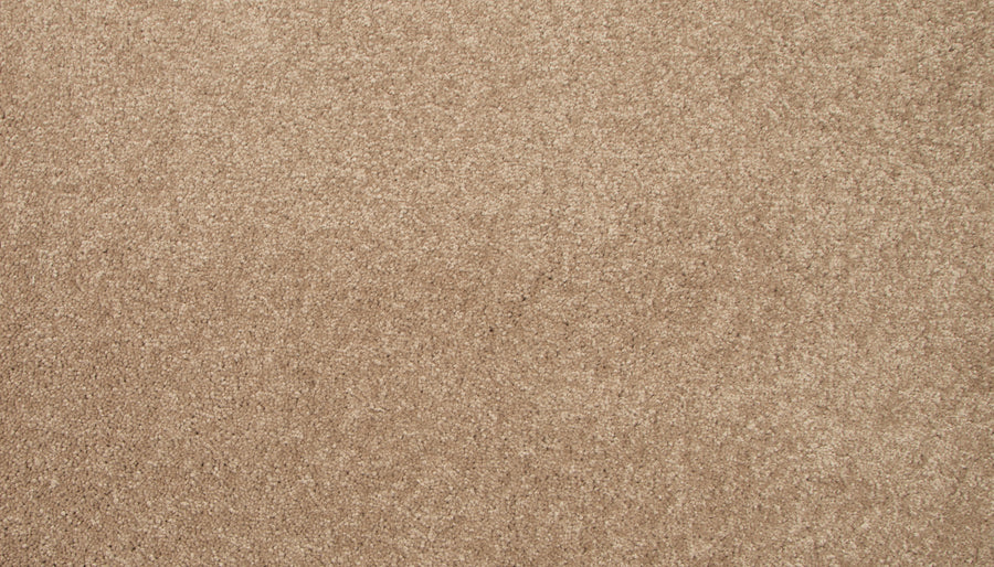 Close-up of Lifetime Achiever II Pet Friendly Carpet in textured beige, revealing a soft, subtly mottled surface—ideal as a stylish and pet-friendly carpet for any home.