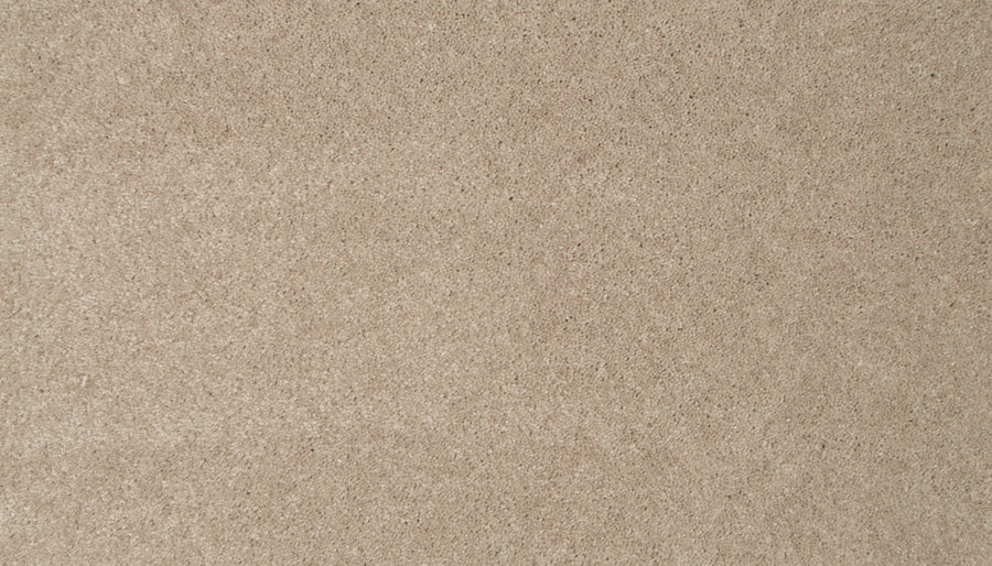Close-up view of Lifetime Achiever II Pet Friendly Carpet in beige, highlighting its uniform, soft, and slightly fuzzy textured surface—ideal for any space.