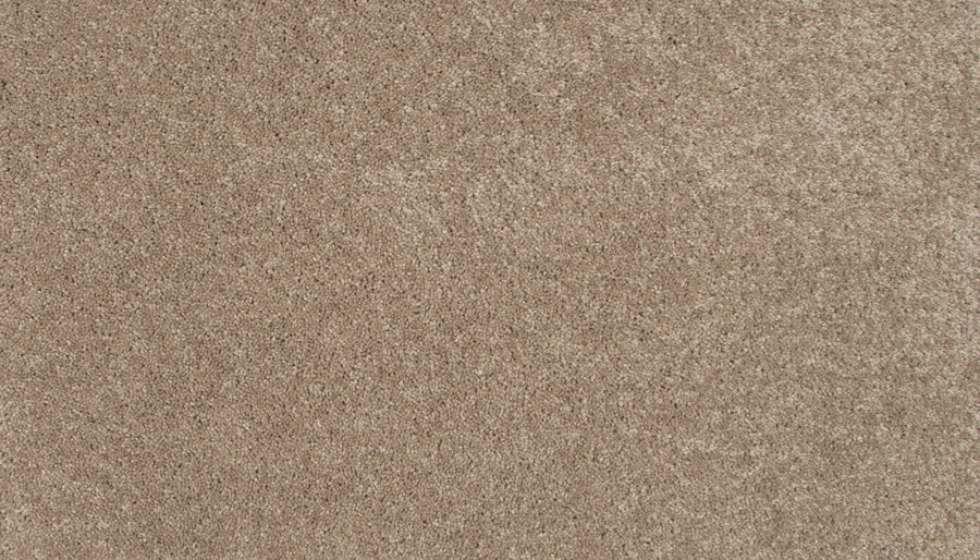 A close-up view of light brown sand, with fine texture and subtle color variations—evoking the plush look and feel of Lifetime Achiever II Pet Friendly Carpet.