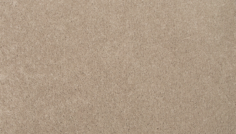Close-up view of Lifetime Achiever II Pet Friendly Carpet in beige, featuring a soft, textured surface and uniform color—an elegant and practical choice for any space.