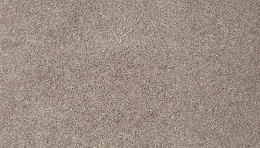 Close-up of soft, light brown Lifetime Achiever II Pet Friendly Carpet featuring a plush, textured surface and an even, consistent pattern with no visible objects or variations.