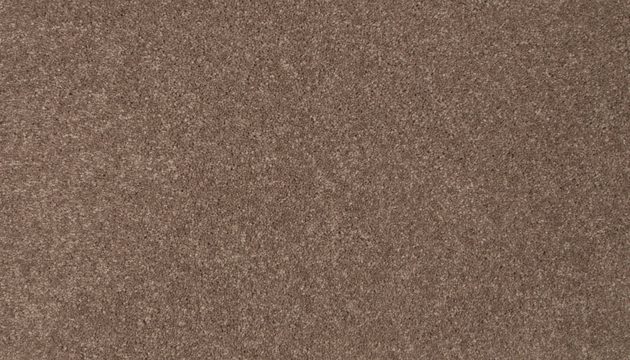 Close-up of the brown Lifetime Achiever II Pet Friendly Carpet shows its soft, textured, and slightly speckled surface. The dense plush fibers create a cozy, uniform look, making it an ideal luxury choice for any room.