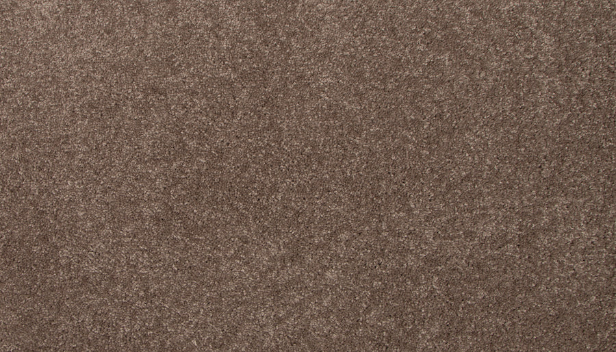 A close-up view of Lifetime Achiever II Pet Friendly Carpet in brown, featuring a soft, textured surface—ideal for homes that prioritize comfort and durability.