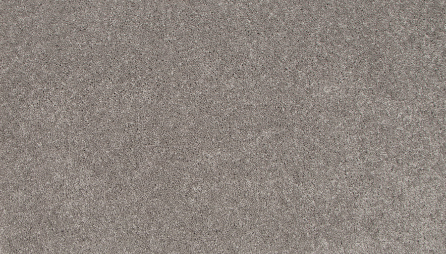 Close-up view of a textured gray surface, featuring fine, grainy details and subtle variations—reminiscent of the premium look and feel found in Lifetime Achiever II Pet Friendly Carpet.