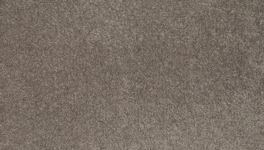 Close-up view of Lifetime Achiever II Pet Friendly Carpet featuring a soft, textured, light brown surface with dense, plush pile. Even fibers create a smooth and comfortable feel—ideal for stylish, pet-friendly homes.